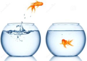 goldfish-jumping-out-fishbowl-16814299_cropped